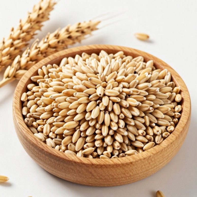 Barley Barley