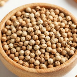 Coriander Seeds Coriander Seeds