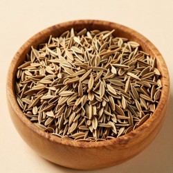 Cumin Seeds Cumin Seeds