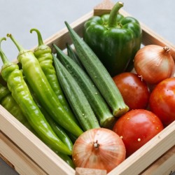 Fresh Vegetables