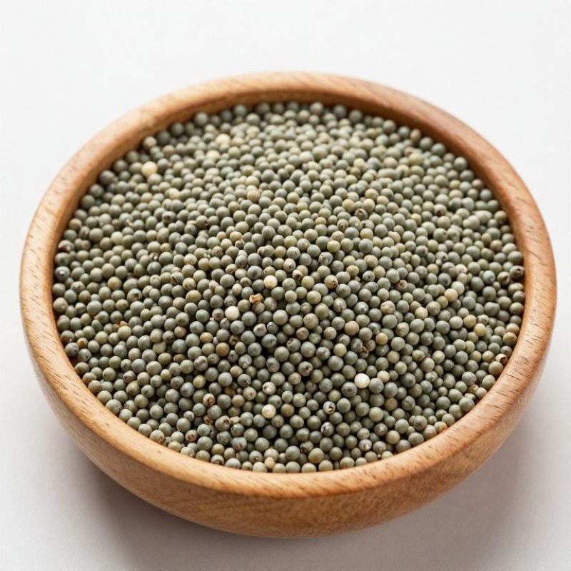 Pearl Millet (Bajra)