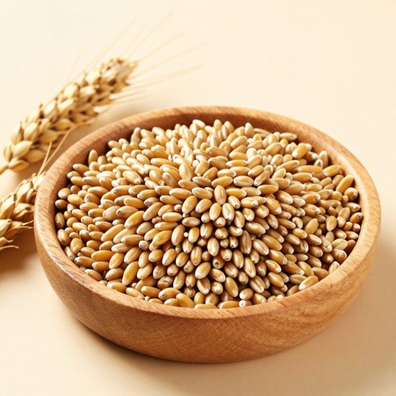 Wheat Wheat