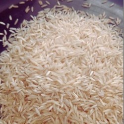 Sharbati Steam Rice