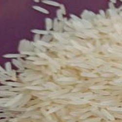 Sona Masoori Raw Rice