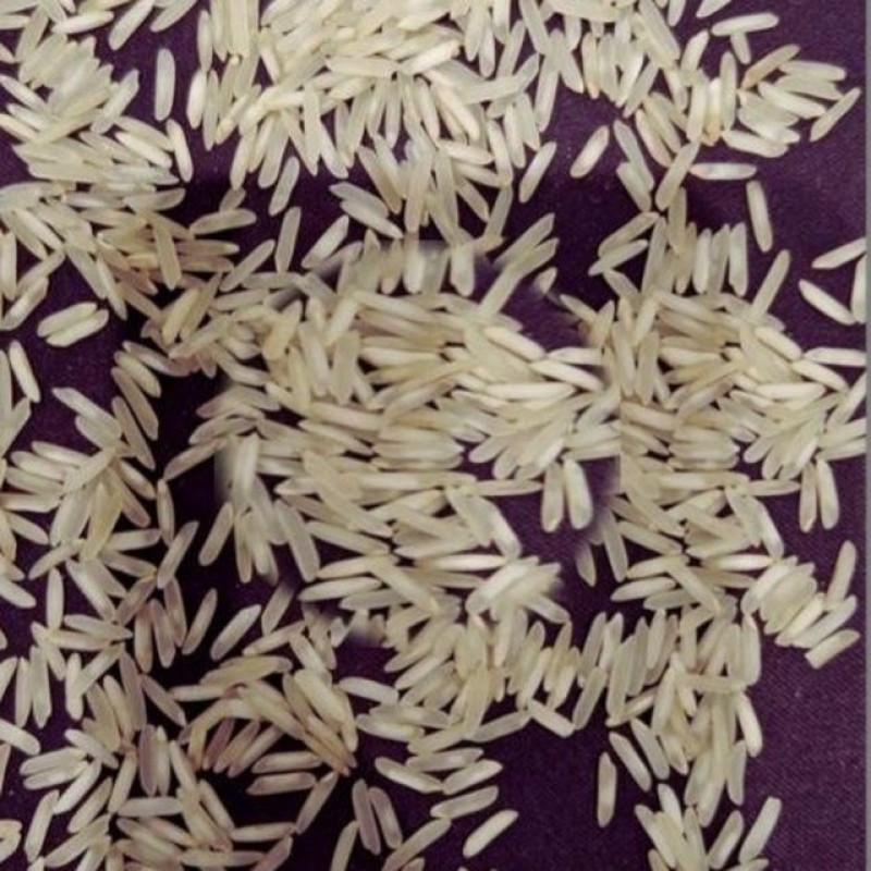 Sugandha Steam Rice