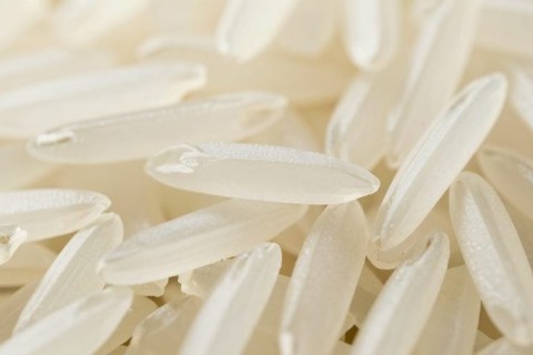 Rice