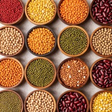 Pulses & Lentils Pulses & Lentils